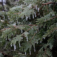 Prognoza meteo, 3 decembrie. Temperaturi apropiate de pragul înghețului și ploi. Condiții de ceață în unele zone