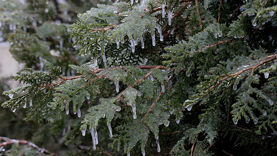 Prognoza meteo, 3 decembrie. Temperaturi apropiate de pragul înghețului și ploi. Condiții de ceață în unele zone