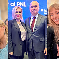 Bubuie scandalul șpăgii luate de Adriana Georgescu: Nicușor Dan apare în stenograme ca sursă de „protecție“ | Avocata pare că avea acces la toată „spuma“ din PNL și din fostul PDL