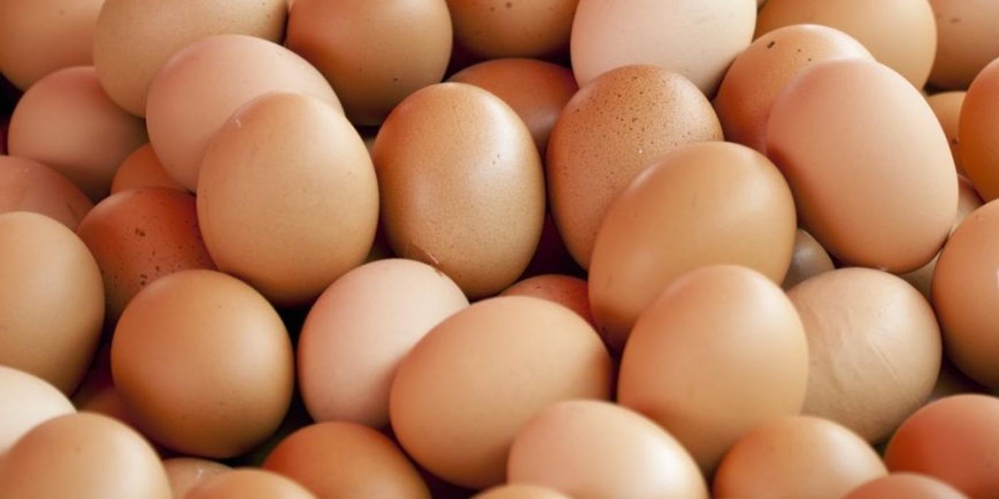 Lipsa ouălor de pe piaţă îi determină pe neozeelandezi să-şi cumpere propriile găini CNN