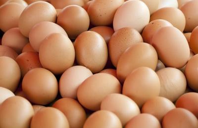 Lipsa ouălor de pe piaţă îi determină pe neozeelandezi să-şi cumpere propriile găini CNN