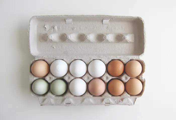 DIY: Cum sa-ti faci ghivece pentru seminte din coaja de ou