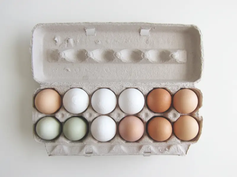 DIY: Cum sa-ti faci ghivece pentru seminte din coaja de ou