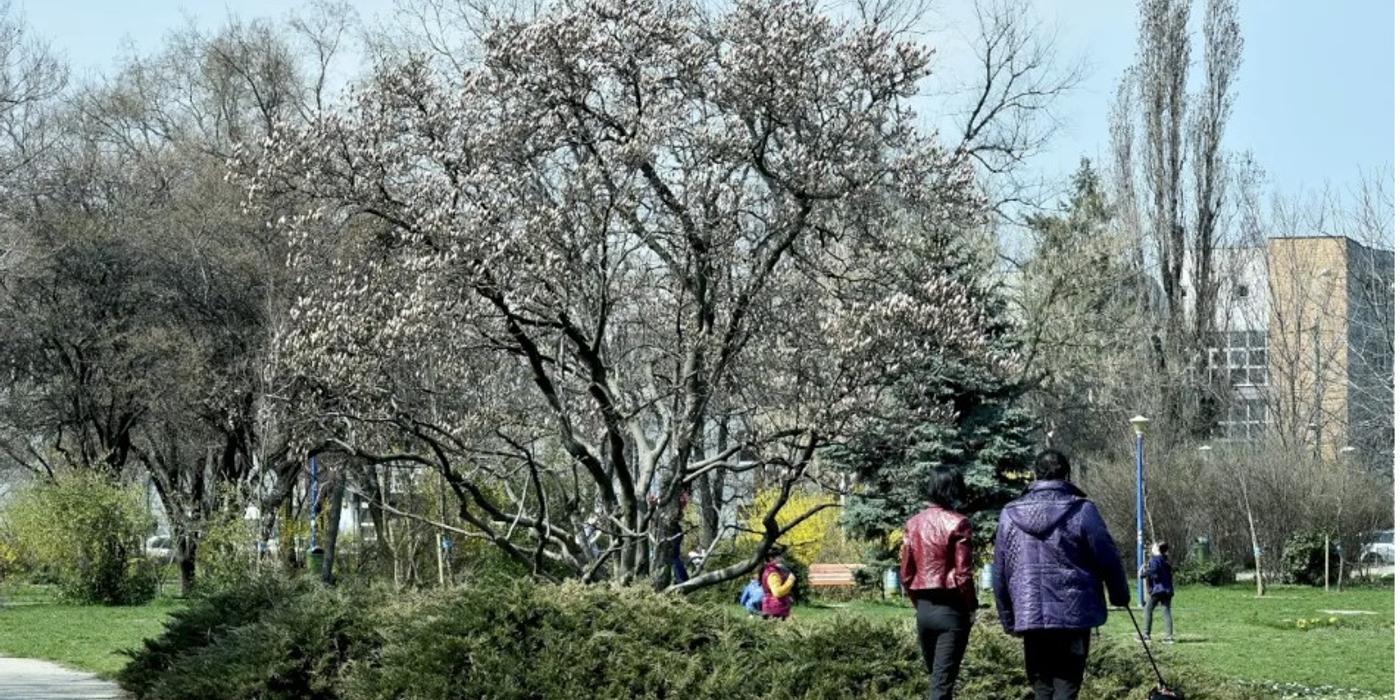 Primăria Sectorului 2 a anunțat că își dorește să reîntregească Parcul Circului