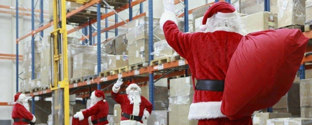 Ghid complet despre achiziția en-gros de brazi de Crăciun