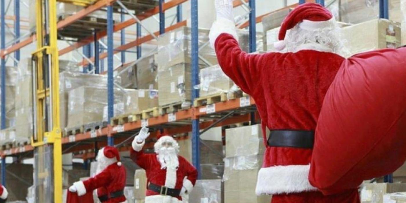 Ghid complet despre achiziția en-gros de brazi de Crăciun