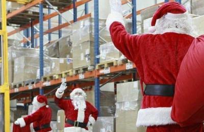 Ghid complet despre achiziția en-gros de brazi de Crăciun