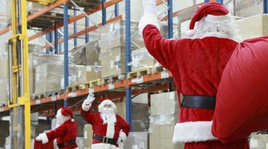 Ghid complet despre achiziția en-gros de brazi de Crăciun