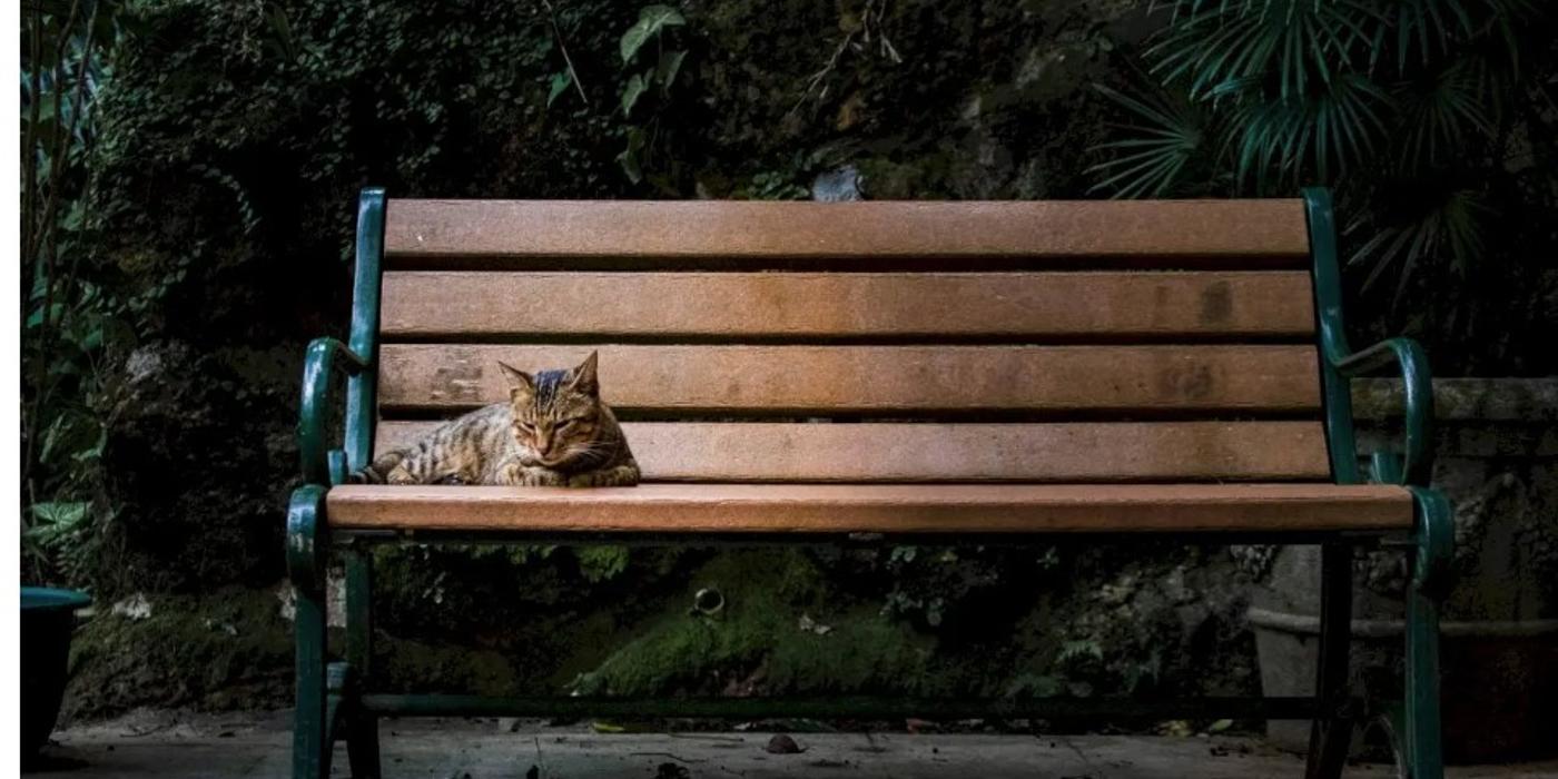 Bucureștenii din cartierul Andronache din Sectorul 2 al Capitalei, se vor bucura de o nouă grădină publică urbană