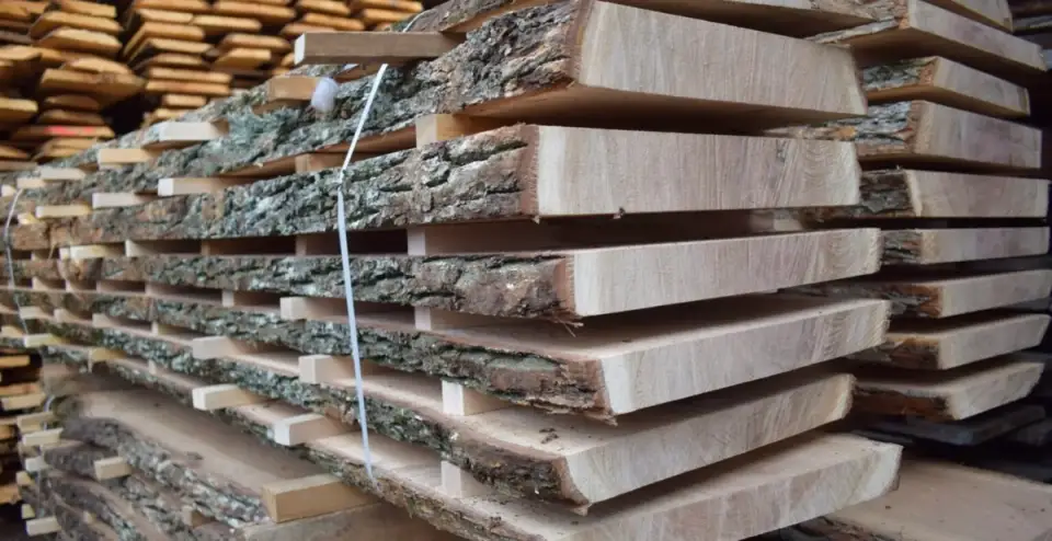 Choosing the Right Wood for Your Home: A Comparison of Walnut, Oak, Beech and Other Hardwood Species