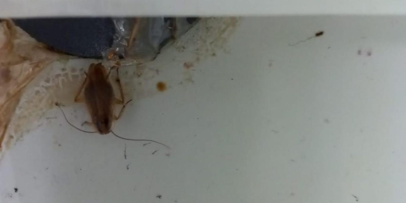 3 amenzi contravenţionale, în valoare de 15.000 lei, aplicate de OPC unei firme din Cluj-Napoca în urma neregulilor descoperite