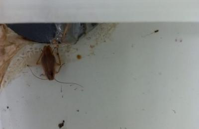 3 amenzi contravenţionale, în valoare de 15.000 lei, aplicate de OPC unei firme din Cluj-Napoca în urma neregulilor descoperite