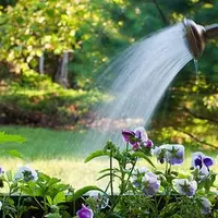 Cum se uda gradina in mod corect