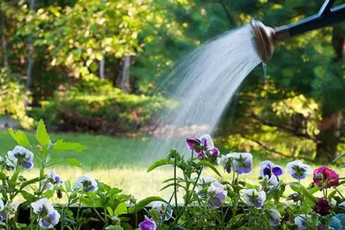 Cum se uda gradina in mod corect