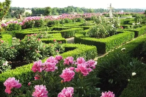 Gradinile in stil francez, trasaturi definitorii: ordine si simetrie