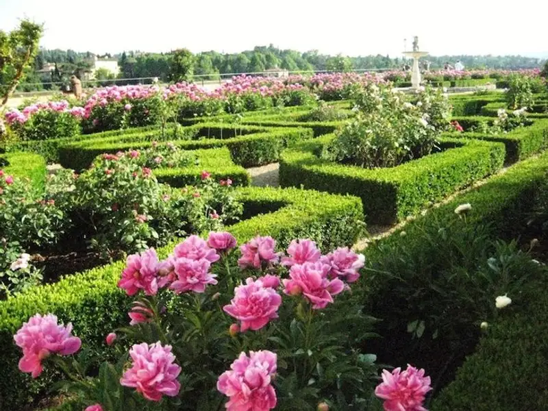 Gradinile in stil francez, trasaturi definitorii: ordine si simetrie