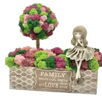 De ce să alegi modelele de pomișori cu licheni?