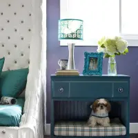 Cum sa-ti amenajezi casa cand ai un animal de companie