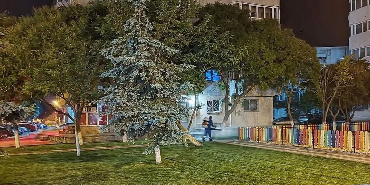 Campanie masivă de dezinsecție la Năvodari: Se pulverizează tratamente pe timp de noapte. Ce obligații au apicultorii și localnicii