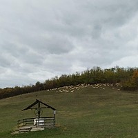 Zâmbetul de joi – Jurnal de țară