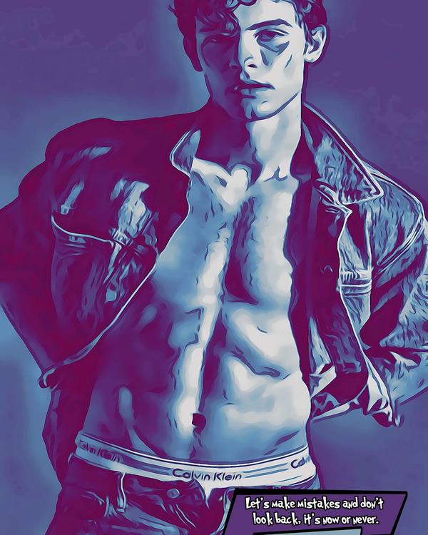 Shawn Mendes — Comic Strip Canvas
