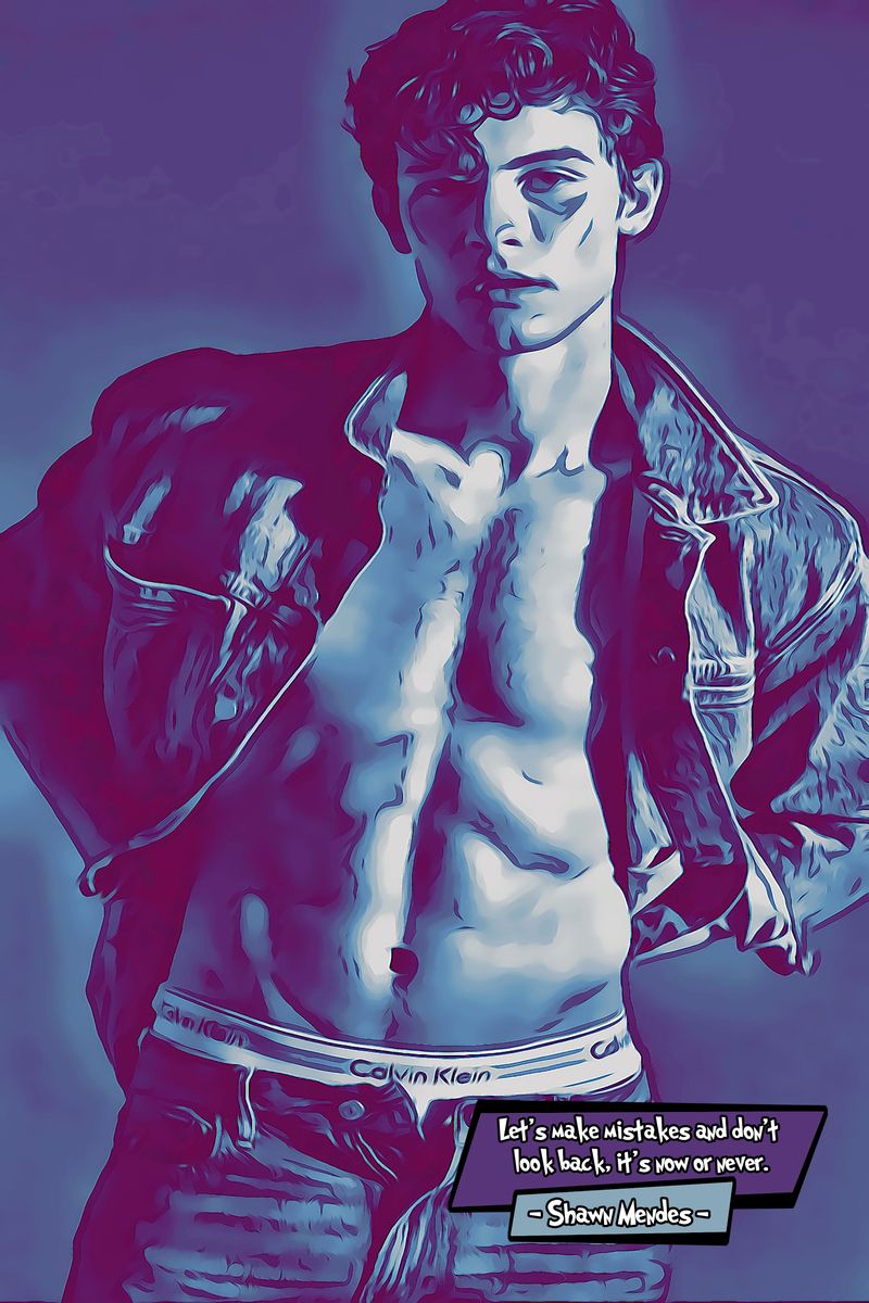 Shawn Mendes — Comic Strip Canvas