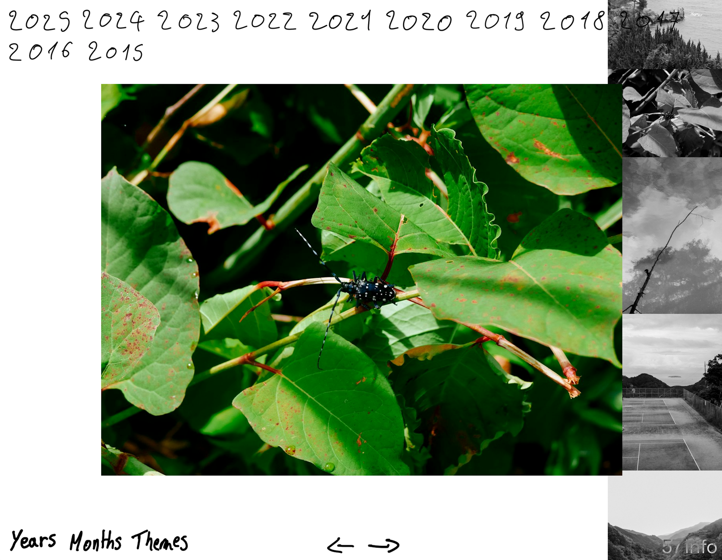 stillsandthoughts-ff87c3