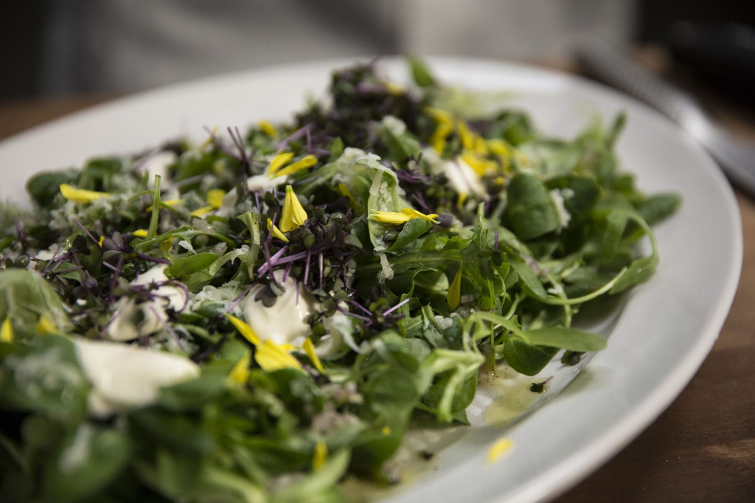 Frisk salat med revet Jarlsberg