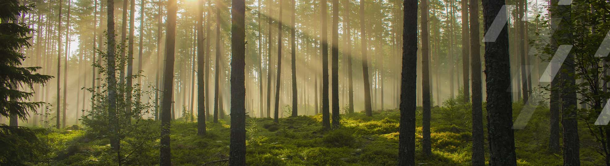 Øyo – Norsk kvalitet siden 1882