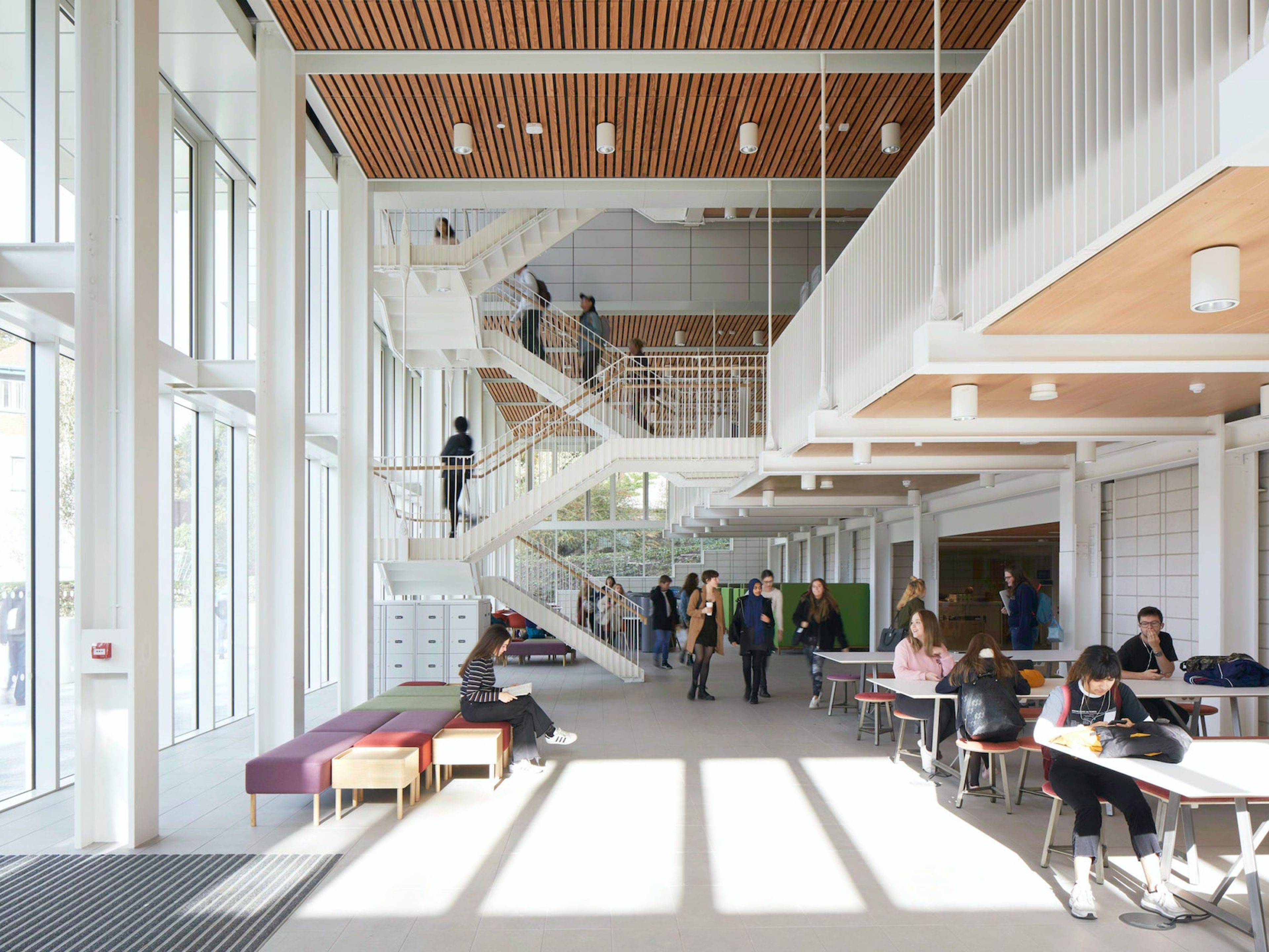 The university of the future