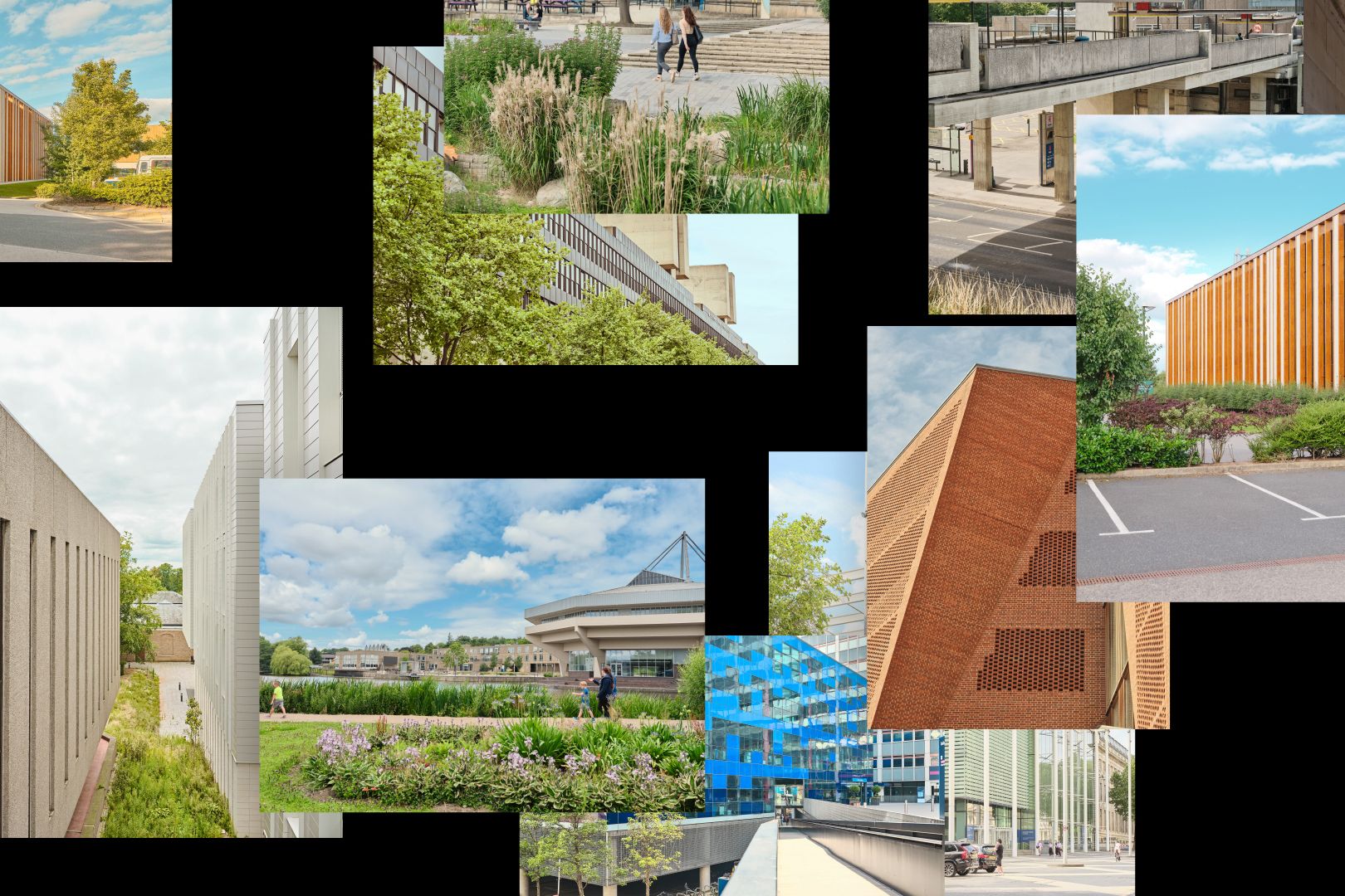 University photography essay