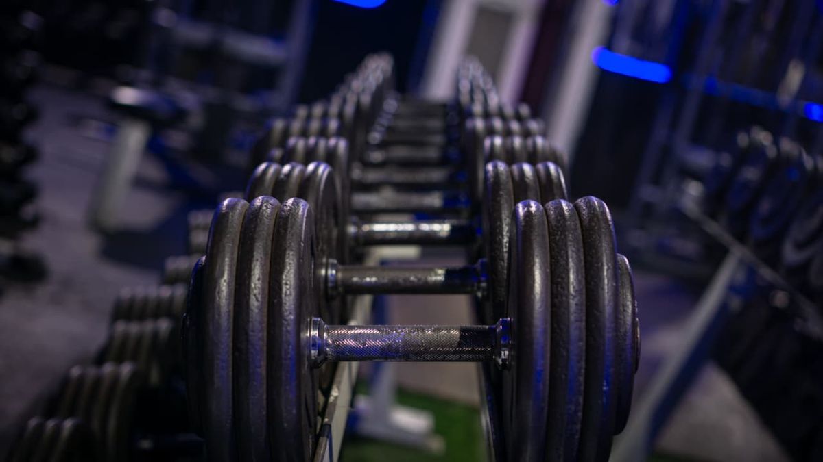 wolf gym 