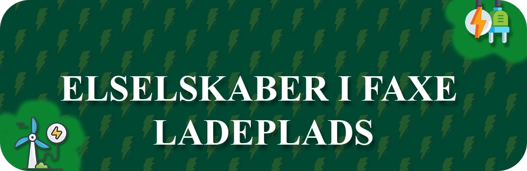 Elselskaber i Faxe Ladeplads