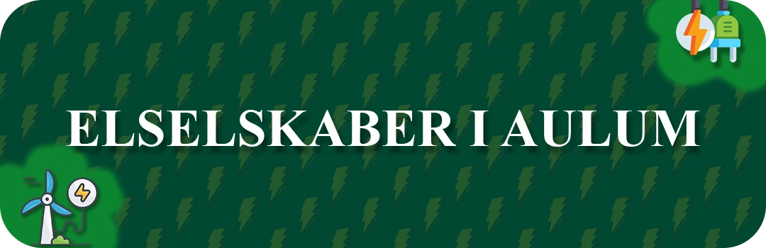 Elselskaber i Aulum