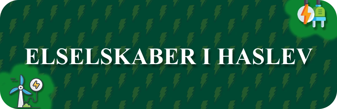 Elselskaber i Haslev