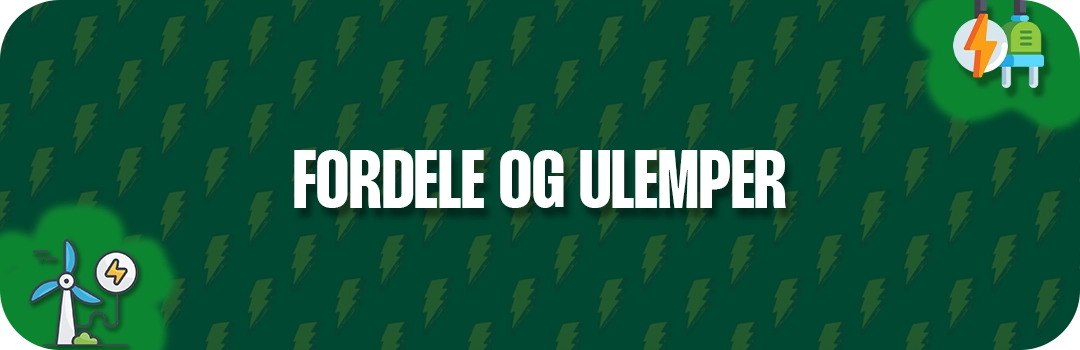 Fordele og ulemper ved elselskaber med månedlig betaling