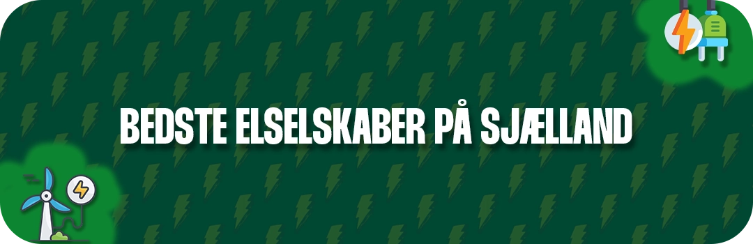 Her ser du de 5 bedste elselskaber på Sjælland