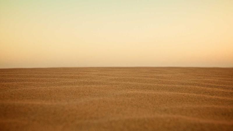 Delaware LLC Filing Deadlines: What Founders Miss in the First Year