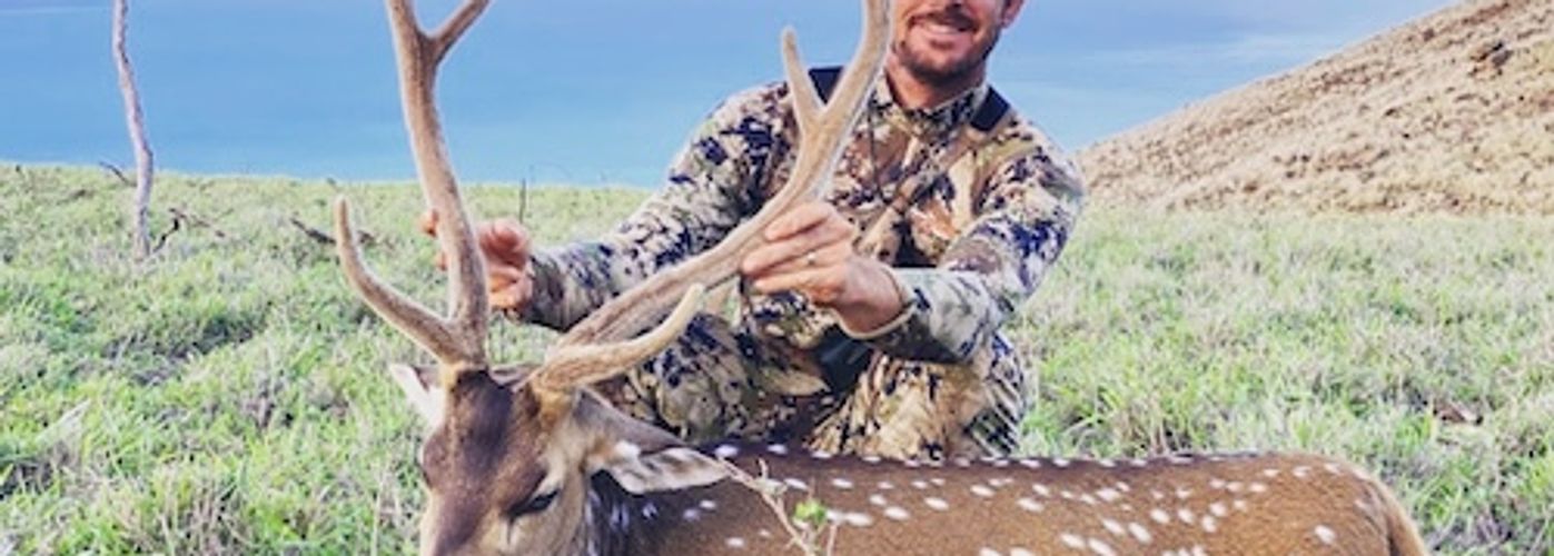 Hunter glassing rugged Hawaiian mountains during a guided axis deer hunt.