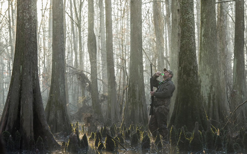 Duck hunter in flooded timber during an Arkansas waterfowl hunt
