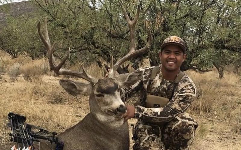 Large mule deer buck in Arizona desert mountain habitat