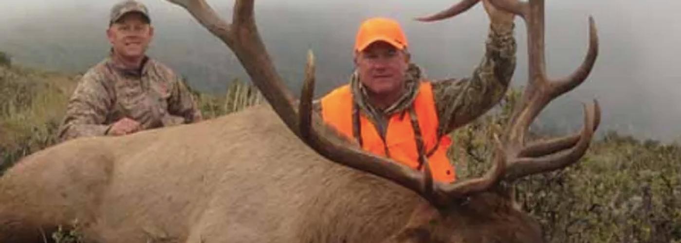 Mule deer buck in Utah's high-desert hunting country