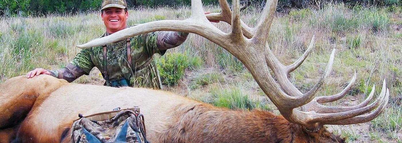 Mature elk in Nevada high desert during a guided elk hunt.