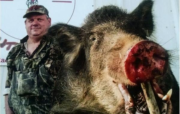Wild hog hunting on private land in Alabama.
