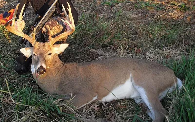 Whitetail hunter overlooking Missouri hardwood forests during deer season