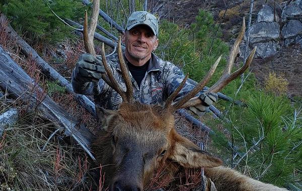 Yellow Pine, Idaho Elk and Mule Deer Hunt, Bull Elk with Hunter