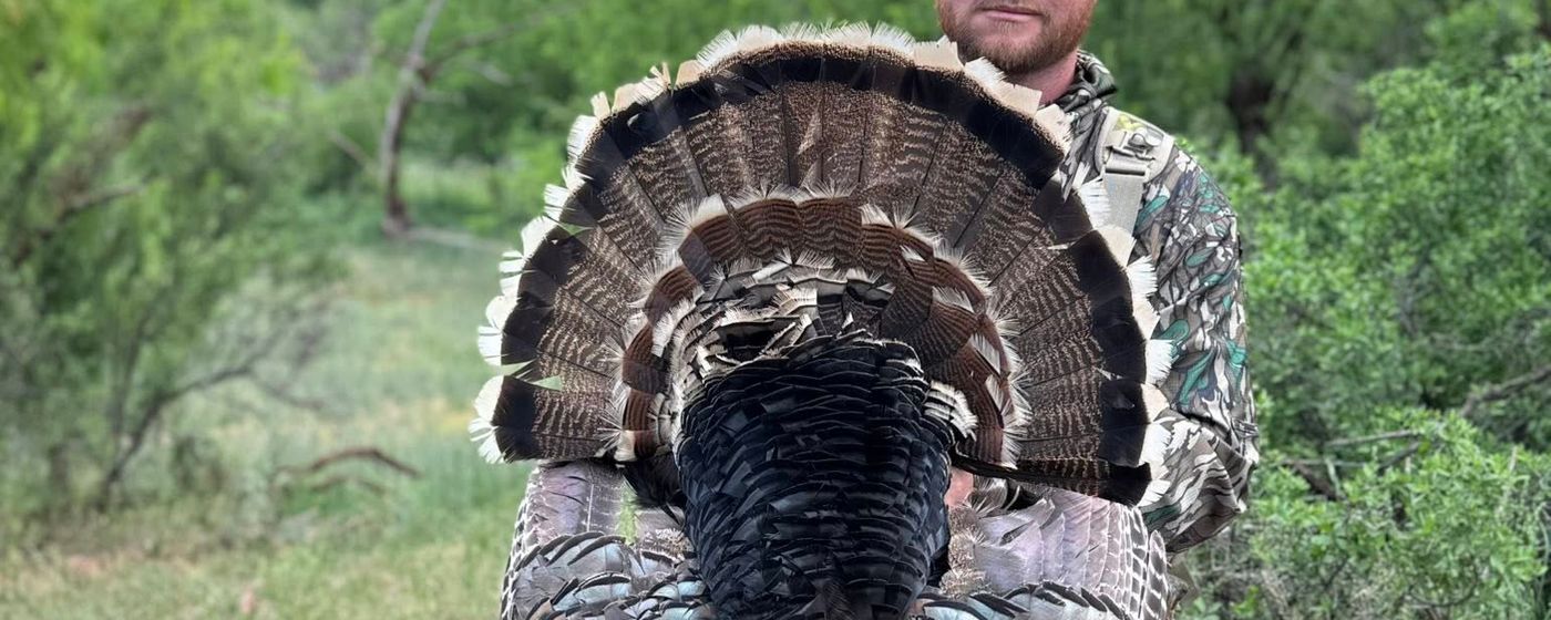 Rio Grande Turkey Hunts Across the Southwest