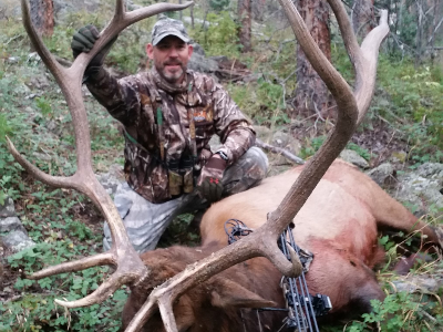 elk hunt