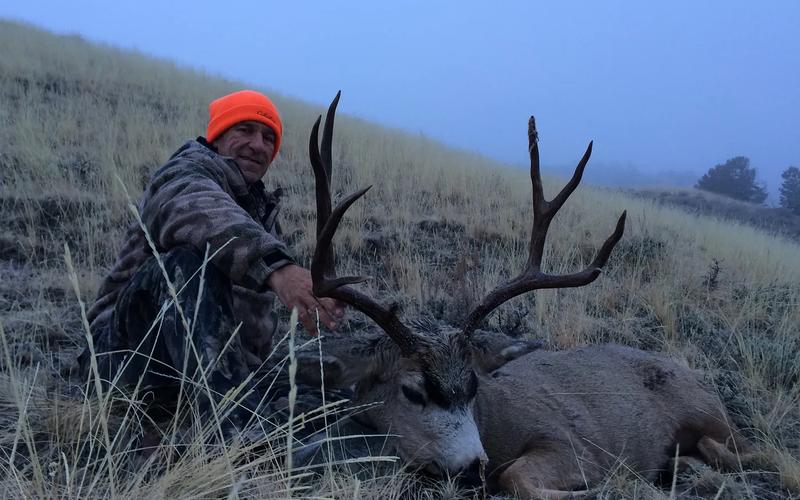 Mule deer buck standing on open Wyoming prairie during a guided hunt