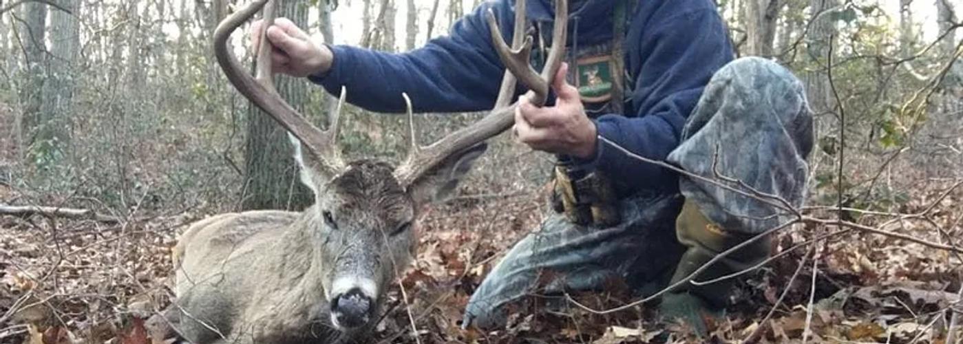 Hunter walking through Connecticut hardwoods during a guided whitetail deer hunt.